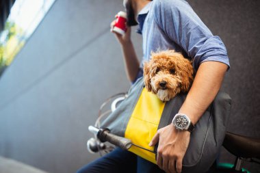 Sokakta köpek ile kahve içme yakışıklı iş adam