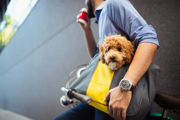 Όμορφος επιχειρηματικός άνθρωπος στο δρόμο πίνοντας καφέ με το σκυλί — Φωτογραφία Αρχείου