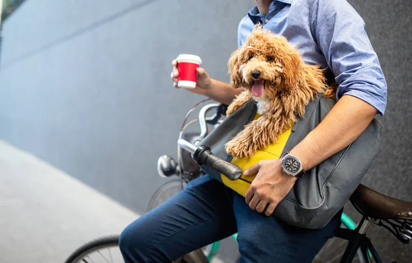 Νέος άντρας που πίνει καφέ ενώ κάθεται στο ποδήλατό του με σκύλο σε εξωτερικούς χώρους — Φωτογραφία Αρχείου