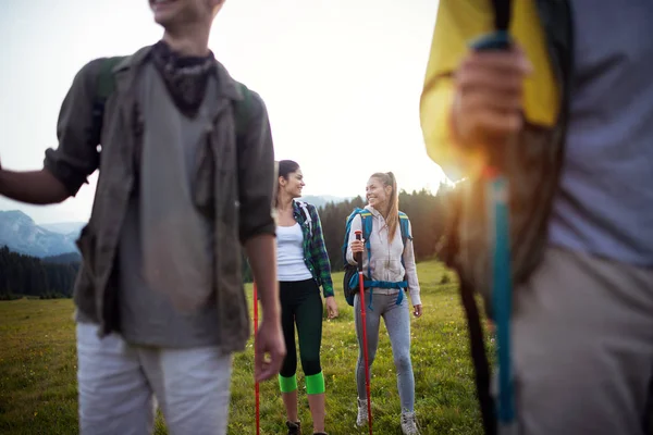 Group of friends hiking in countryside. Multiracial young people on country walk.