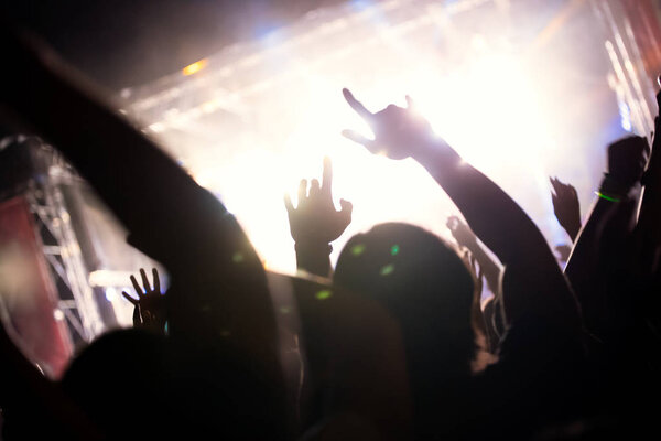 Picture of party dancing people at music festival