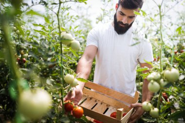 Sera içinde işte dostu genç çiftçi