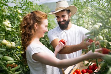 Bir serada çalışan iki akıllı insanlar.