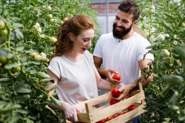 Bir serada çalışan iki akıllı insanlar.