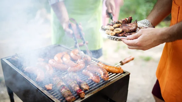 Çeşitli Tavuk Domuz Eti Çeşitli Sebzeler Barbekü Izgara — Stok fotoğraf