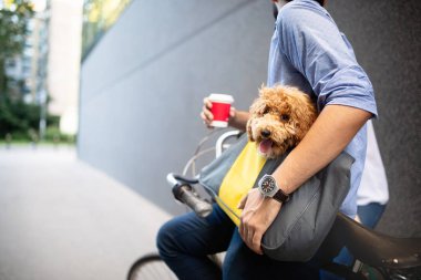 Bisiklet üzerinde oturan ve köpek ile sokakta kahve bardağı tutan yakışıklı genç adam