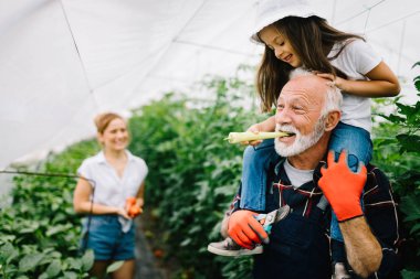 Büyükbabam torunları ve ailesiyle çiftlikte sebze yetiştiriyor.