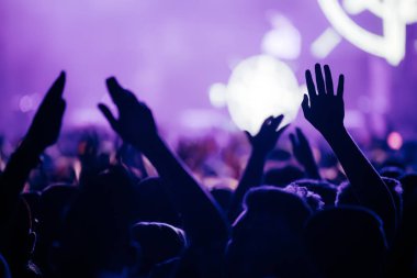 Resim Müzik Festivali'nde insanlar dans partisi