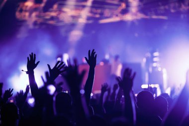 Kalabalığı eğlendirmekten elleri havada Müzik Festivali'nde zevk
