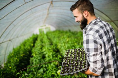 küçük genç yeşil bitki tutan genç adam. yeni yaşam konsepti