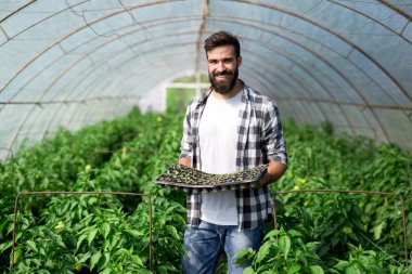 Genç adam onun sera tesisi işi