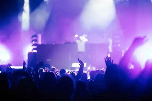 Imagen Del Público Bailando Festival Conciertos Música — Foto de Stock