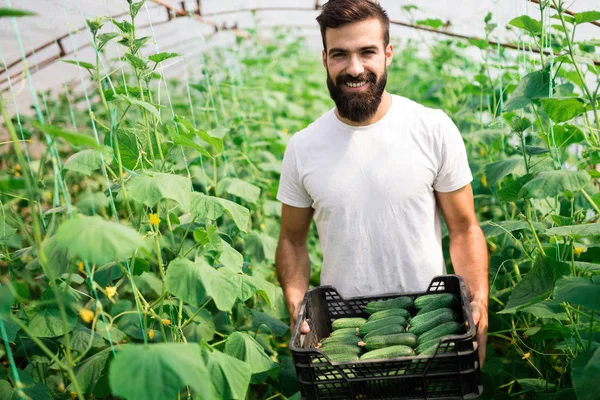 Friendly Young Farmer Work Greenhouse — Stock Photo, Image