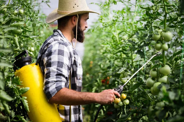 Kastration Von Gemüse Mit Wasser Oder Pflanzenschutzmitteln Wie Pestiziden Gegen — Stockfoto