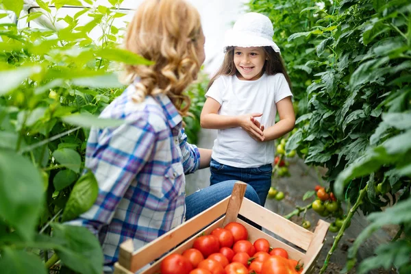 Landbouwersgezin Met Kinderen Familie Boerderij — Stockfoto