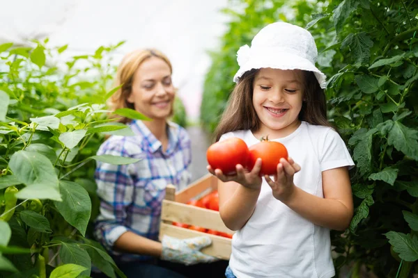 Farmer Family Growing Vegetables Children Family Farm Stock Image