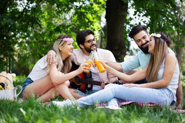 Grupo Feliz Amigos Relaxando Divertindo Piquenique Livre — Fotografia de Stock