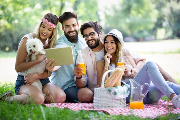 Gelukkige Jonge Vrienden Het Park Die Picknicken Een Zonnige Dag — Stockfoto
