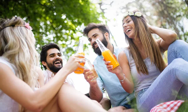 Güneşli bir günde piknik parkta Mutlu genç arkadaşlar.