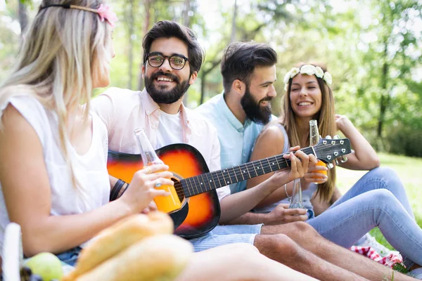 Jovens Amigos Felizes Fazendo Piquenique Parque Pessoas Divertindo Sorrindo Tocando — Fotografia de Stock