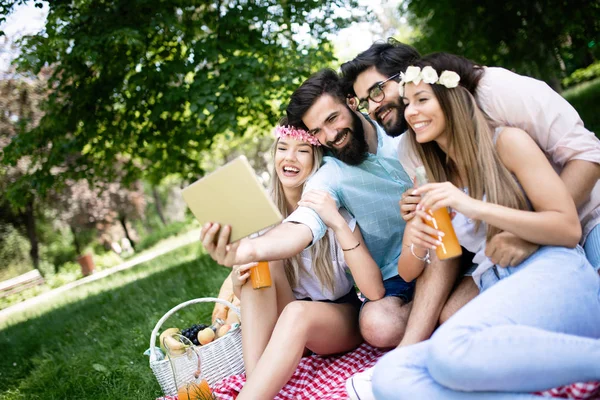 Gruppo Giovani Che Fanno Selfie All Aperto Picnic Divertirsi — Foto Stock