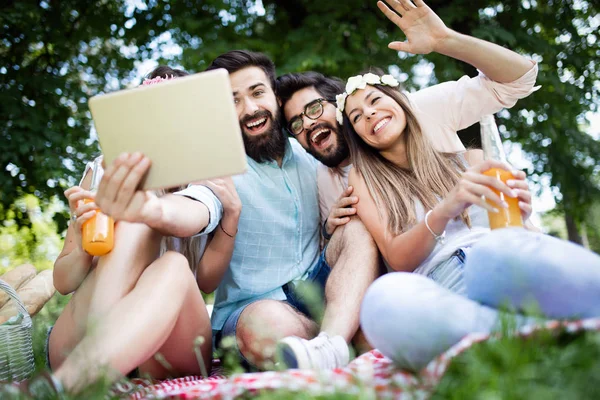 Amici Avendo Grande Momento Picnic Natura — Foto Stock