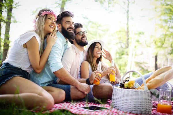 Feliz Grupo Amigos Parque Haciendo Picnic Día Soleado — Foto de Stock