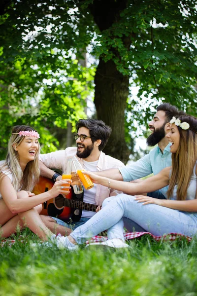 Amigos Divertindo Muito Piquenique Natureza — Fotografia de Stock