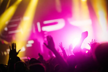 Dans eden kalabalığa müzik konser Festivali resmi