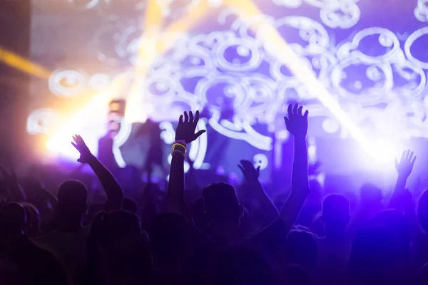 Picture of dancing crowd at music concert festival