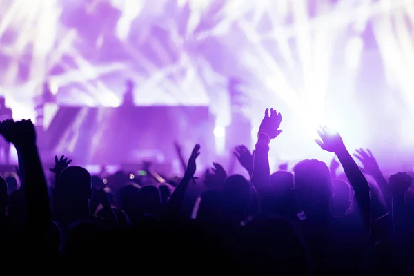 Imagen Del Público Bailando Festival Conciertos Música — Foto de Stock