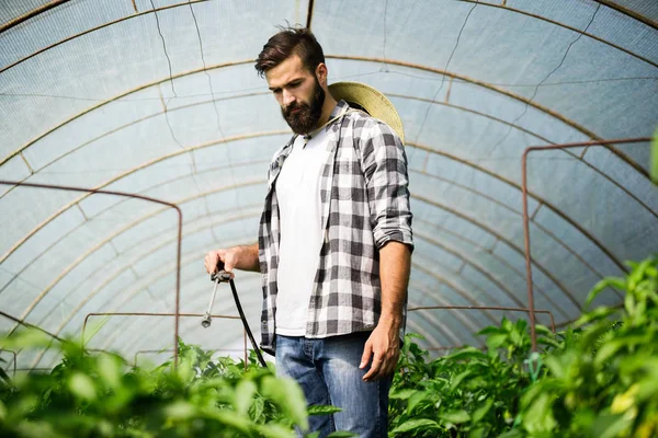 年轻农民用化学物质保护植物 — 图库照片