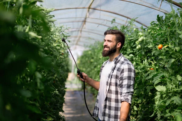 Joven Agricultor Protegiendo Sus Plantas Rociando Con Productos Químicos — Foto de Stock