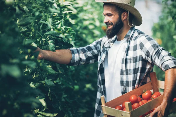 depositphotos_282462542-stock-photo-male-handsome-farmer-picking-fresh.jpg