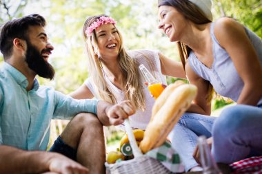 Güneşli bir günde piknik yapıyor parkta mutlu arkadaş grubu.