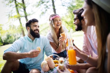 Güneşli bir günde piknik yapıyor parkta mutlu arkadaş grubu.