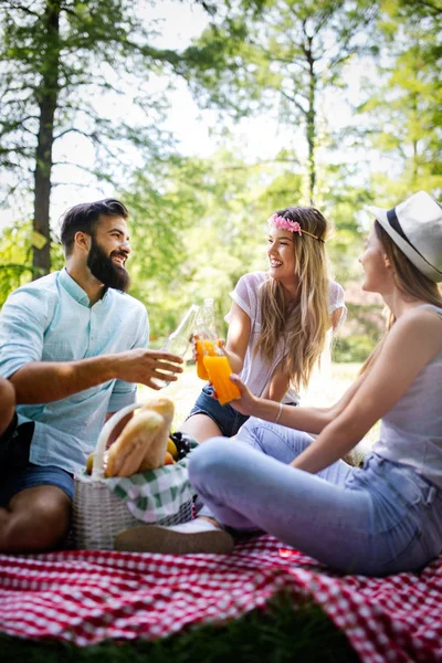 Barátok Amelyek Nagy Idő Piknik Természetben — Stock Fotó