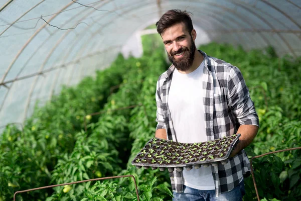 Ung Man Håller Liten Ung Grön Växt Nytt Liv Koncept — Stockfoto