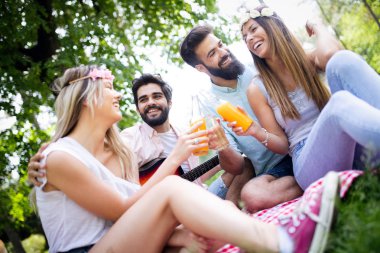 Güneşli bir günde piknik yapıyor parkta mutlu arkadaş grubu.