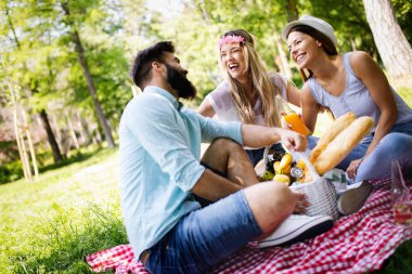 Mutlu arkadaş grubu rahatlatıcı ve piknik açık havada eğlenmek