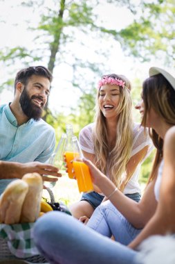 Güneşli bir günde piknik yapıyor parkta mutlu arkadaş grubu.