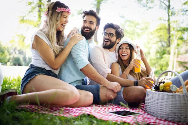 Gelukkige Jonge Vrienden Het Park Die Picknicken Een Zonnige Dag — Stockfoto