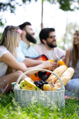 Güneşli bir günde piknik yapıyor parkta mutlu arkadaş grubu.
