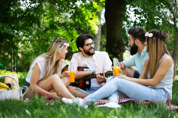 公園でピクニックをしている幸せな若い友人 人々は 楽しみを持って 笑顔で ギターのコンセプトを演奏する — ストック写真