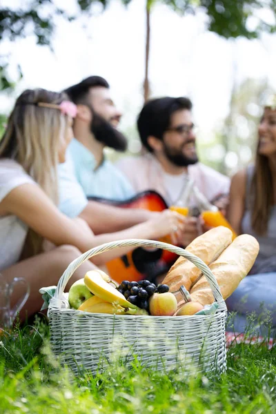 Güneşli bir günde piknik yapıyor parkta mutlu arkadaş grubu.