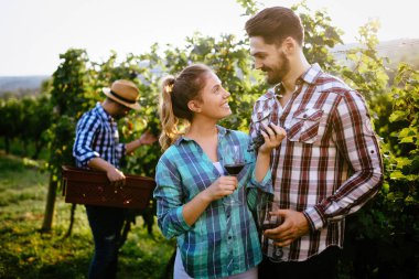 Winemaker ailede mutlu birlikte bağ hasat önce