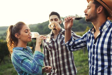 Üzüm bağında kırmızı şarap içip eğlenen insanların fotoğrafı.