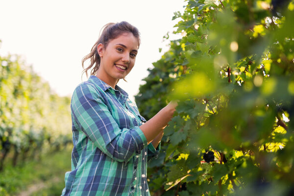 Portrait of young happy woman working in vineyard