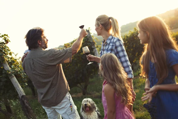 포도에서 와인 가족 함께 — 스톡 사진