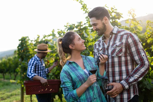 Donna Uomo Vigna Bevono Vino Insieme — Foto Stock